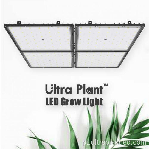 Novo APP Controle Full Spectrum White Grow Light